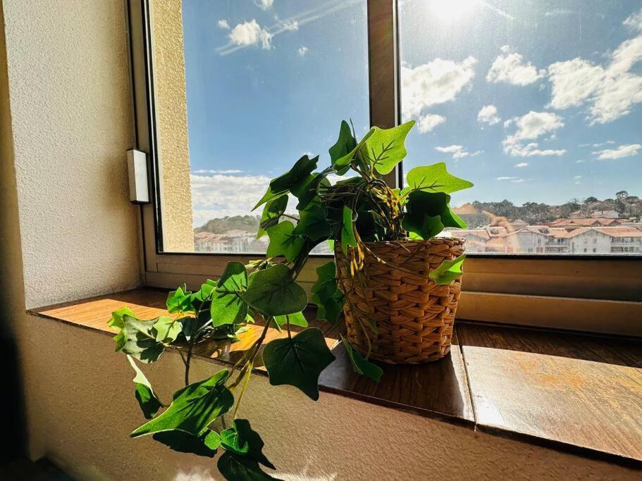 Apartment Free Parking, Proche Gare/plage/centre+ Netflix Arcachon